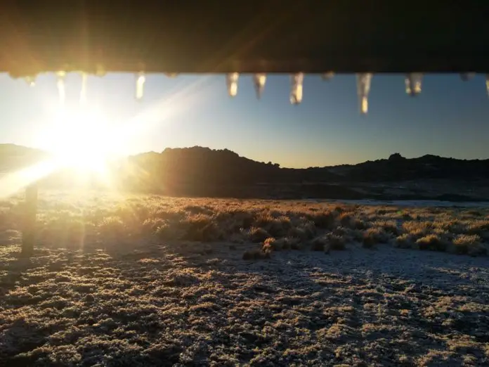champa nieve 1