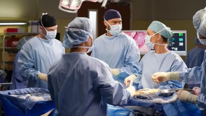 Grey anatomy