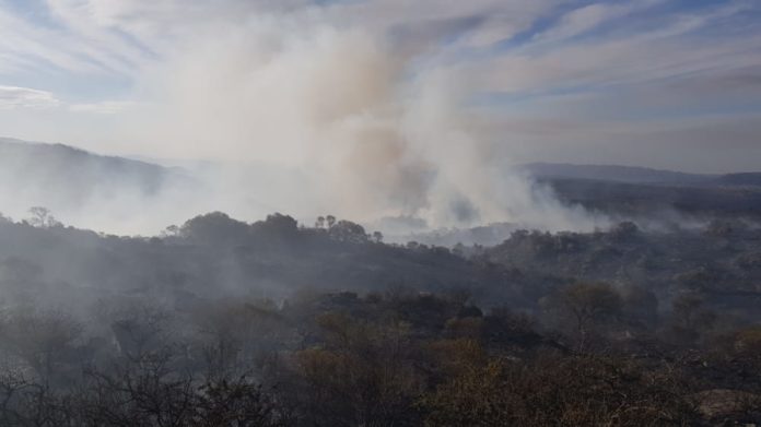 WhatsApp Image 2020-07-04 at 16.54.08