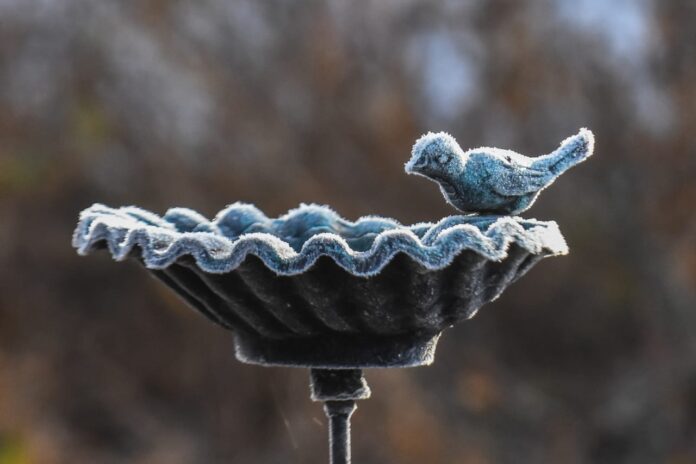 WhatsApp Image 2020-07-24 at 10.53.48 (1)