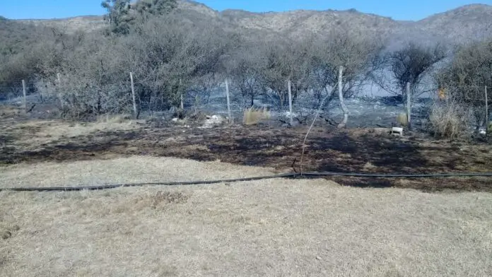 fuego las jarillas1