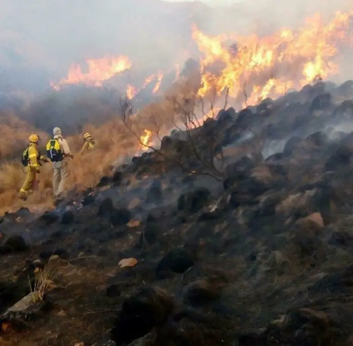 WhatsApp Image 2020-08-22 at 19.14.19