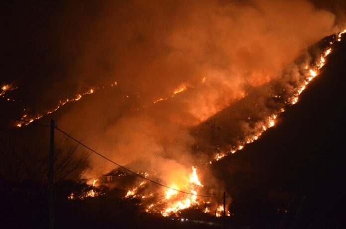 WhatsApp Image 2020-08-24 at 11.32.08 PM (1)