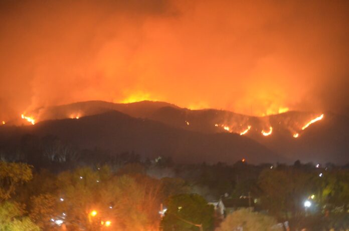 WhatsApp Image 2020-08-24 at 11.32.14 PM (1)