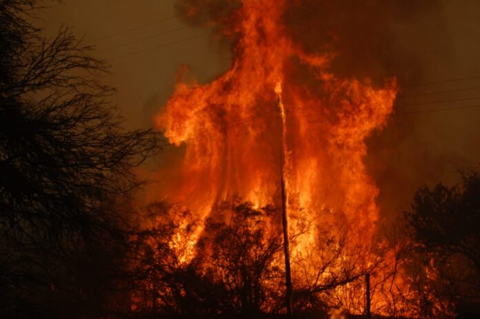 fuego domingo5