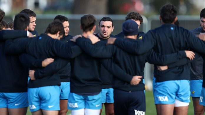 los pumas