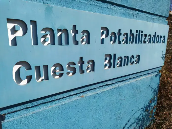 planta cuesta blanca3