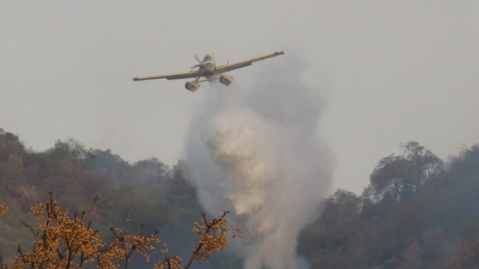 Foto, gentileza Vaniba Ortiz.