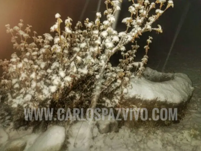 IMG-20200901-WA0176-01