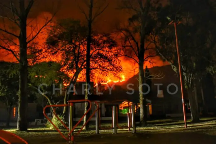 WhatsApp Image 2020-09-21 at 10.10.06 PM