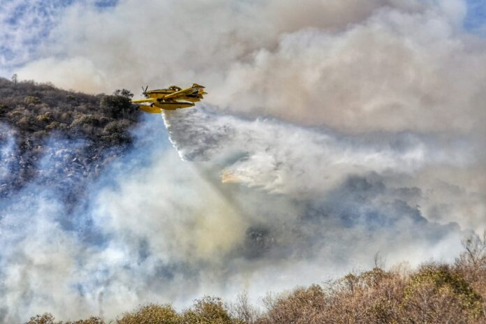 WhatsApp Image 2020-09-22 at 3.37.59 PM (2)