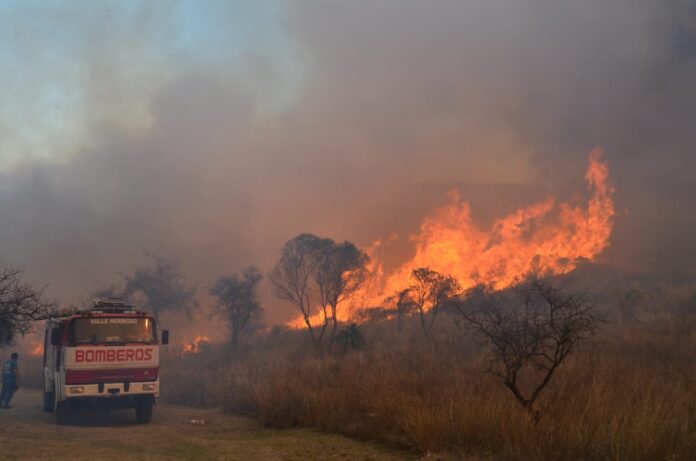 WhatsApp Image 2020-09-22 at 5.55.49 PM