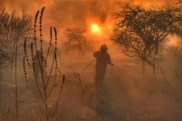 WhatsApp Image 2020-09-22 at 8.16.53 PM