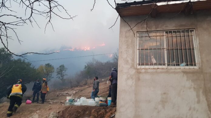 WhatsApp Image 2020-09-23 at 7.12.03 PM