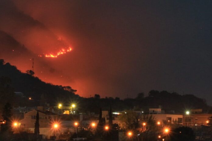 WhatsApp Image 2020-09-23 at 7.46.10 PM