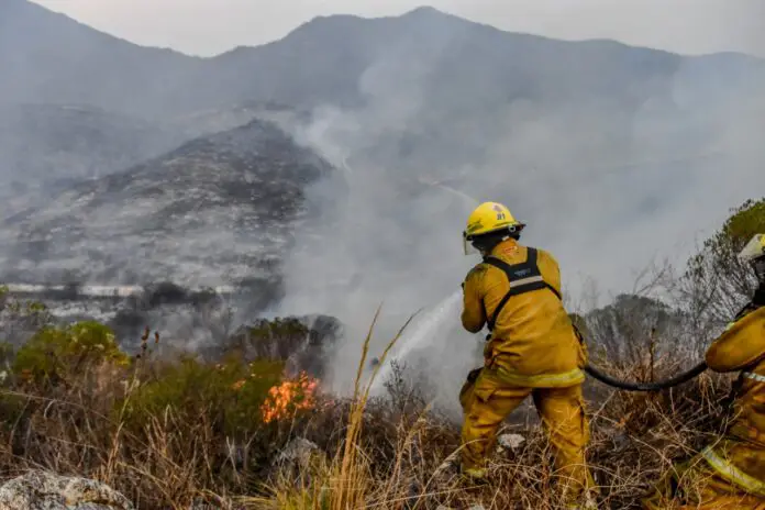 WhatsApp Image 2020-09-23 at 9.32.05 PM (1)