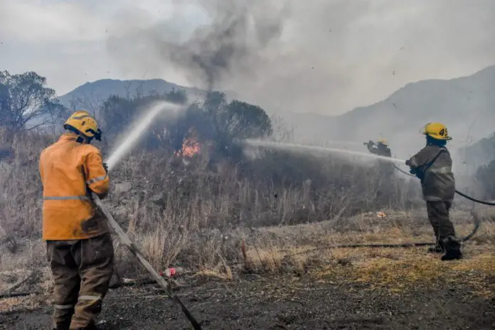 WhatsApp Image 2020-09-23 at 9.32.05 PM