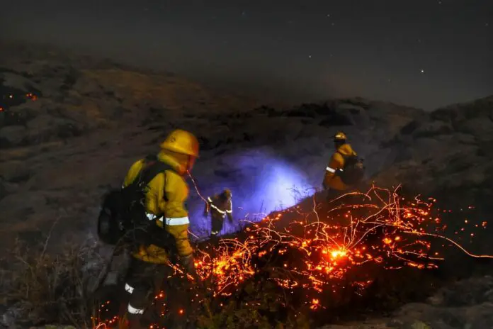 WhatsApp Image 2020-09-29 at 11.22.55 AM