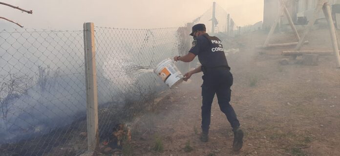 WhatsApp Image 2020-09-30 at 18.54.25