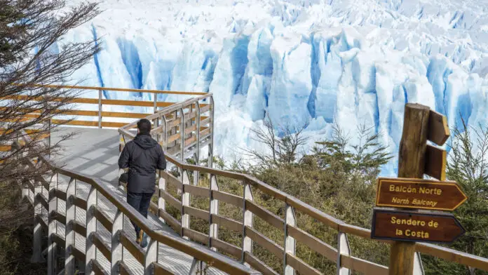 calafate-cosas-para-hacer-argentina-patagonia-24072019