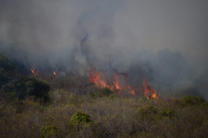 fuego-cec-04