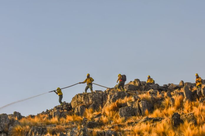 WhatsApp Image 2020-10-02 at 11.45.03