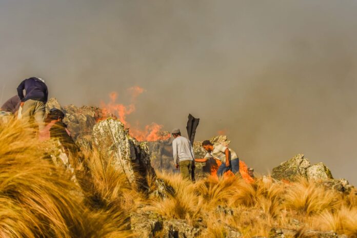 WhatsApp Image 2020-10-02 at 11.45.10