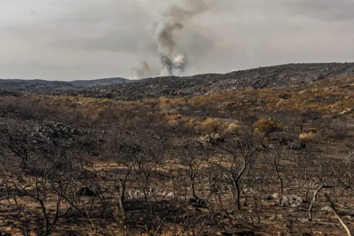 WhatsApp Image 2020-10-05 at 10.39.29 AM