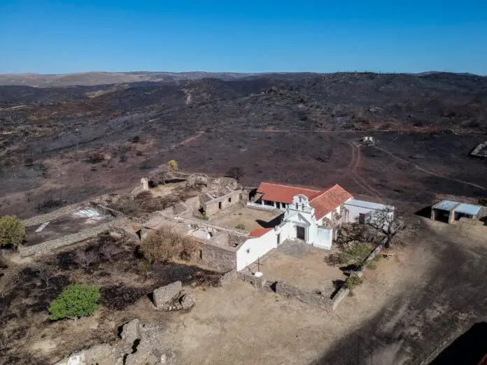 WhatsApp Image 2020-10-05 at 10.39.30 AM (1)