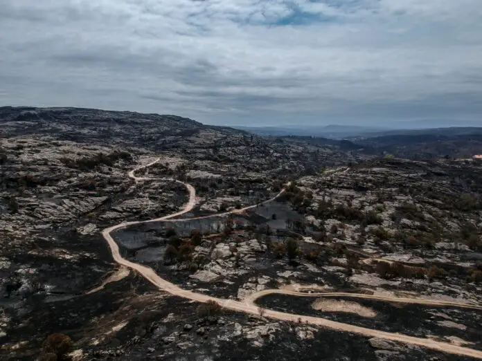 WhatsApp Image 2020-10-05 at 10.43.38 AM Foto Charly Soto