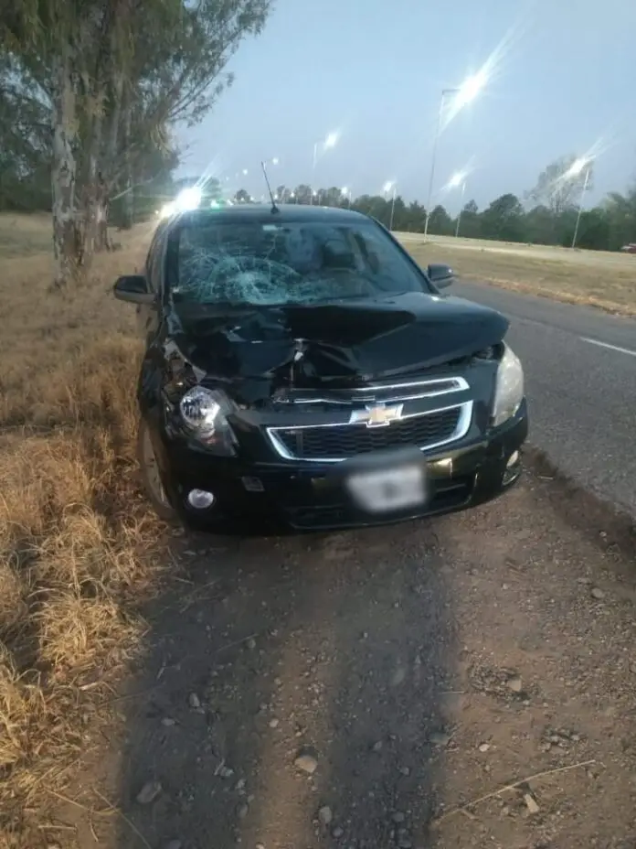 WhatsApp Image 2020-10-08 at 20.54.07