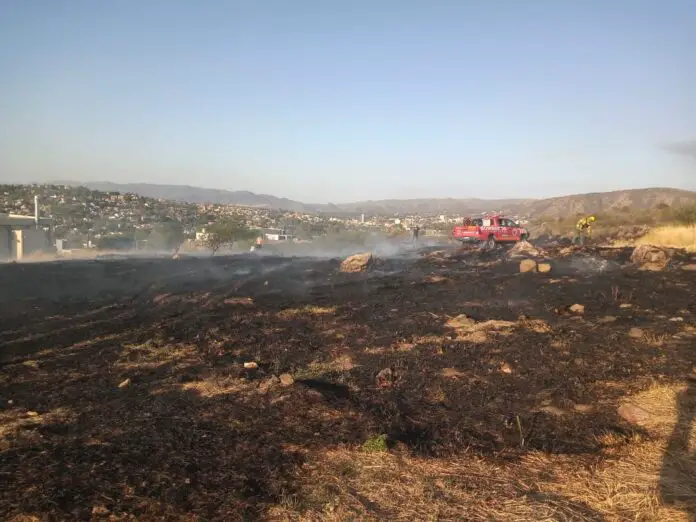 WhatsApp Image 2020-10-12 at 18.18.56