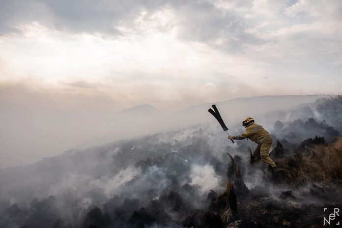 WhatsApp Image 2020-10-17 at 12.29.11 PM (2)