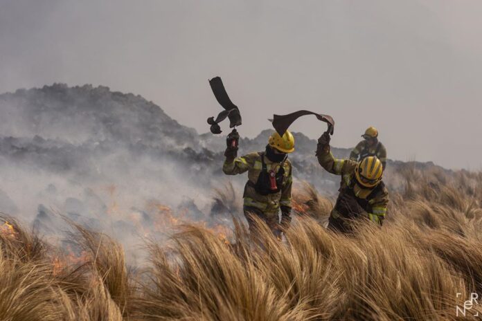 WhatsApp Image 2020-10-17 at 9.12.31 PM (2)