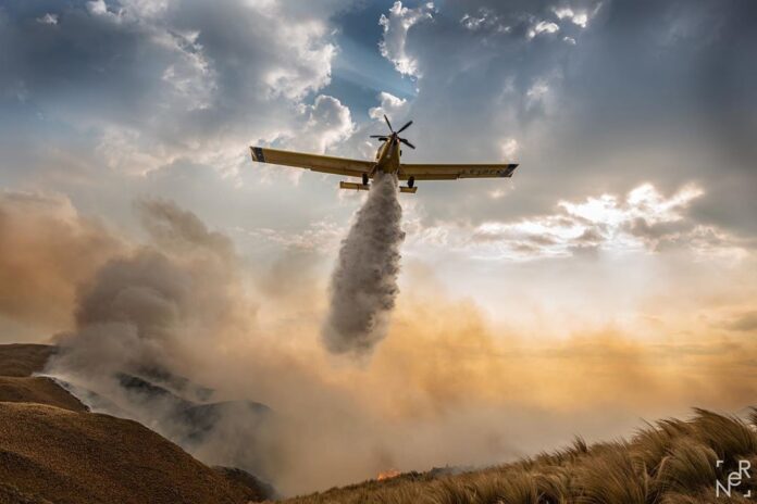 WhatsApp Image 2020-10-17 at 9.12.31 PM