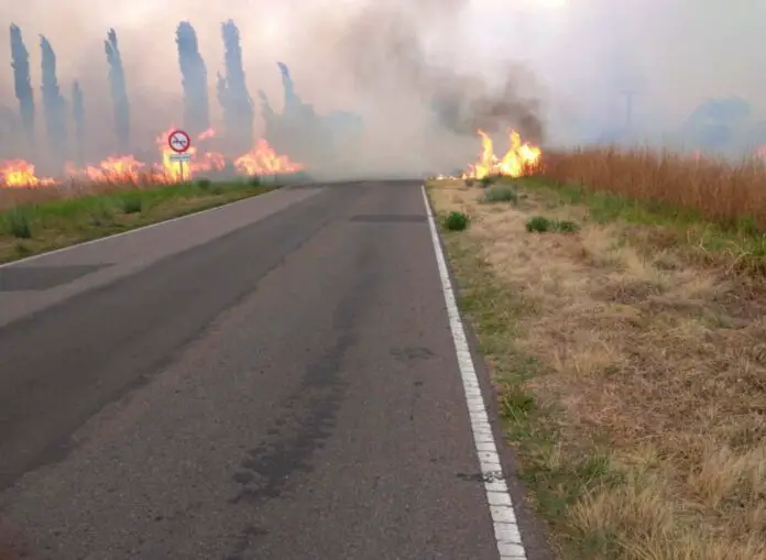 Incendio-Salsacate-1.