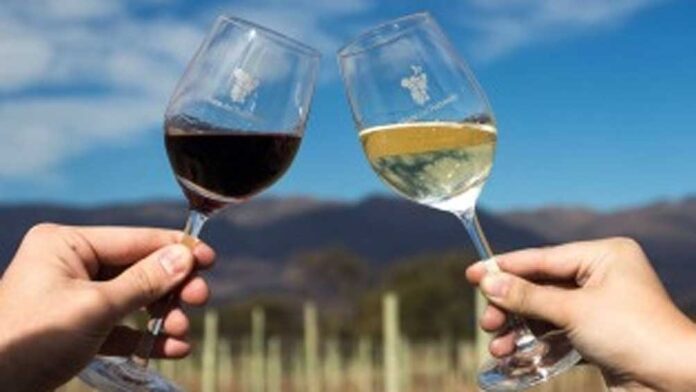 dia del vino1