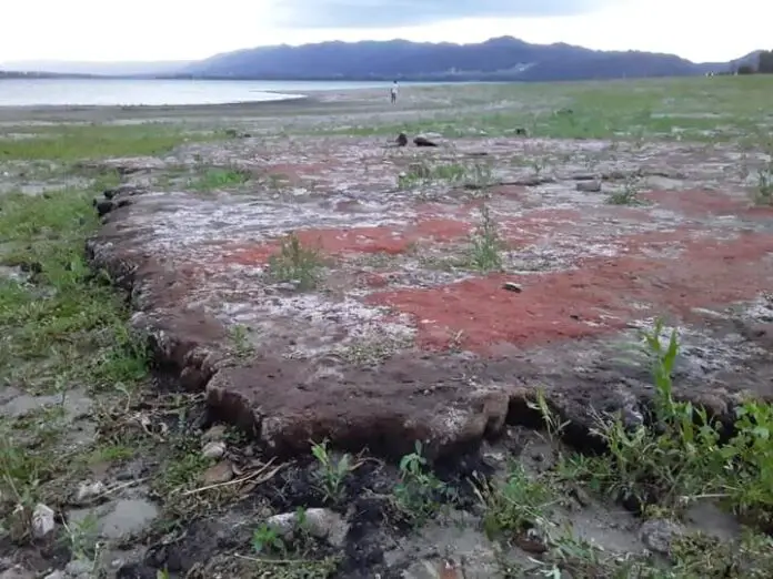 WhatsApp Image 2020-12-13 at 09.16.58