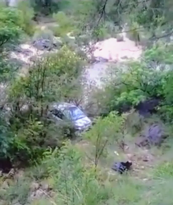 auto desbarranco