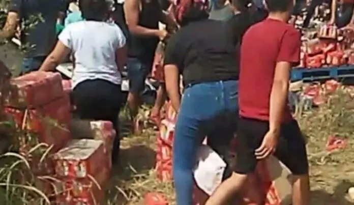 camionero cervezas