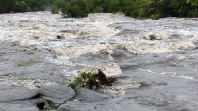 WhatsApp Image 2021-03-16 at 9.21.21 AM