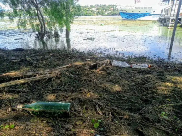 basura lago