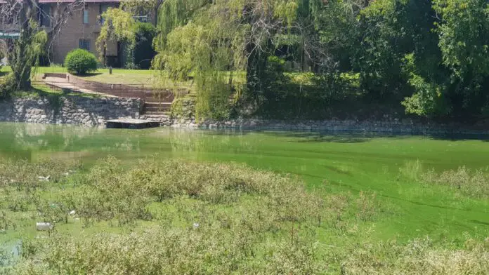 lago contaminado