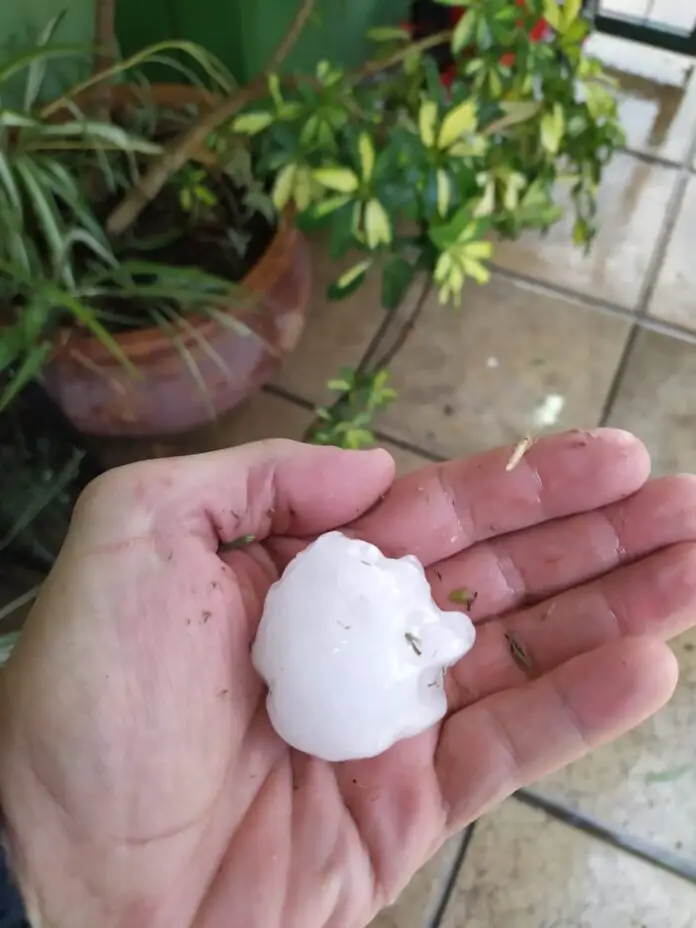 WhatsApp Image 2021-04-23 at 19.15.10