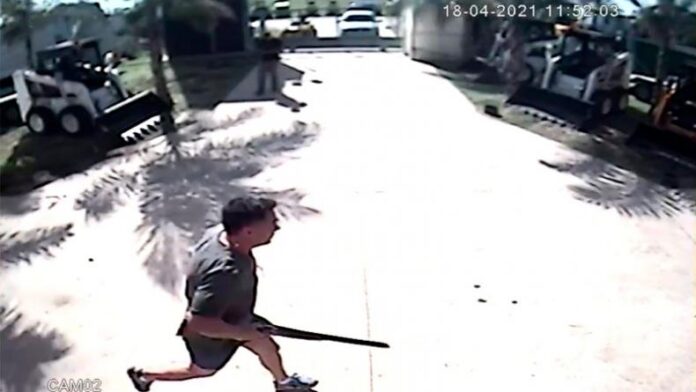 director-hospital-villa-rosario-perros-fabrica