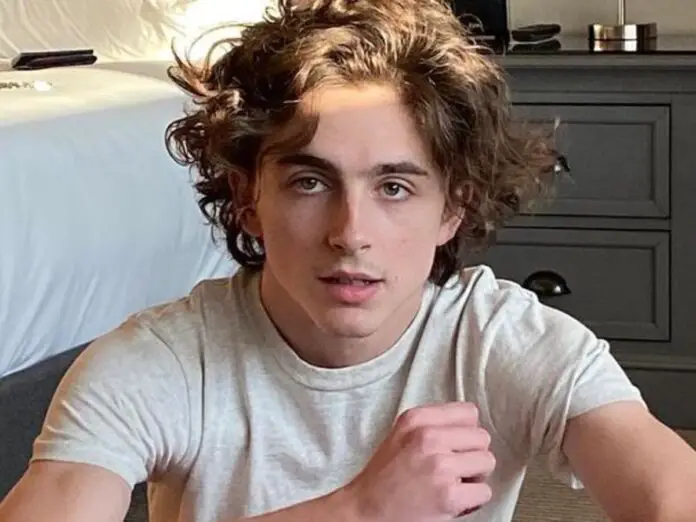 Timothée Chalamet