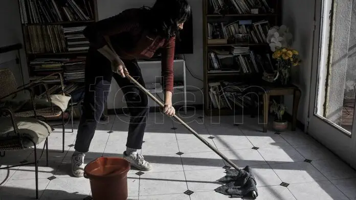 ++domesticas