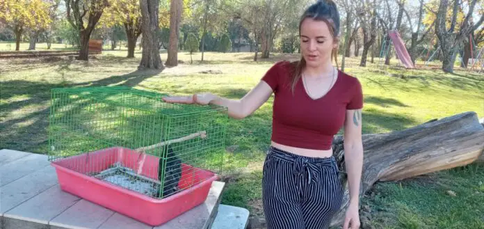 WhatsApp Image 2021-06-08 at 20.15.46