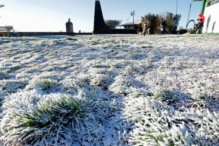 180761-whatsapp-20image-202021-07-25-20at-2020-46-46