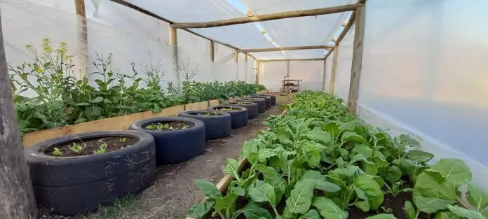 huerta san antonio